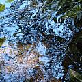 Flow